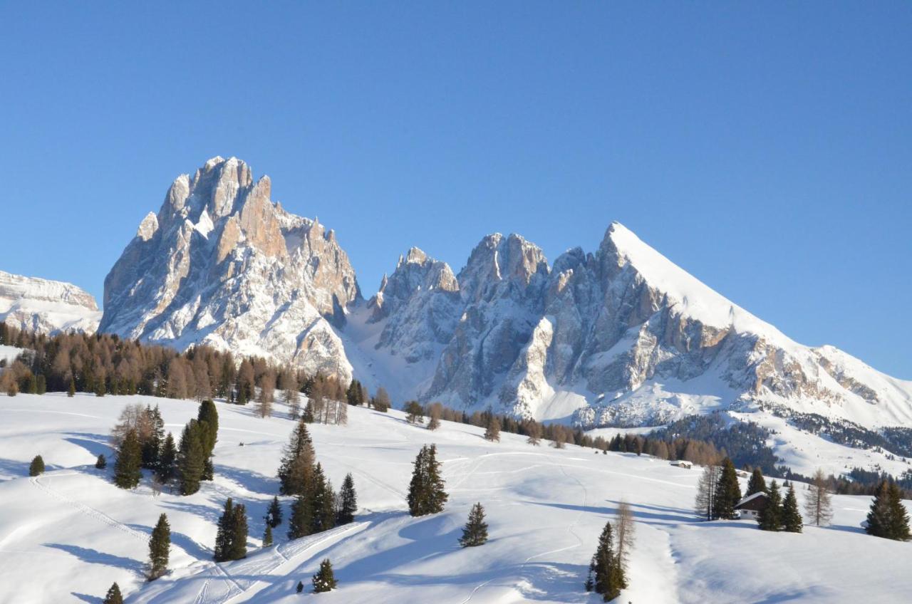 Hotel Chalet Dlaces Selva di Val Gardena Luaran gambar