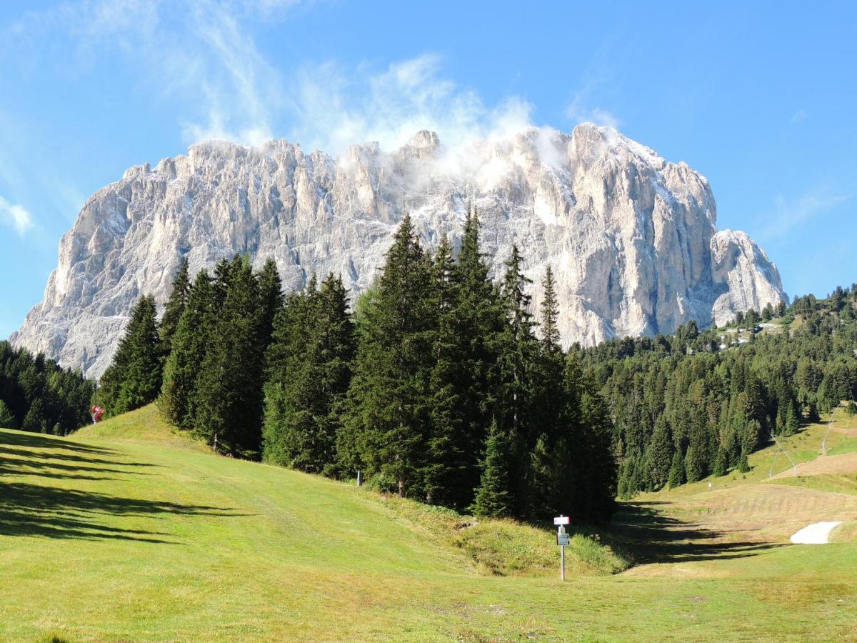 Hotel Chalet Dlaces Selva di Val Gardena Luaran gambar